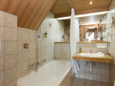 Detailbild, Badezimmer, Klassikzimmer, Krone Hittisau