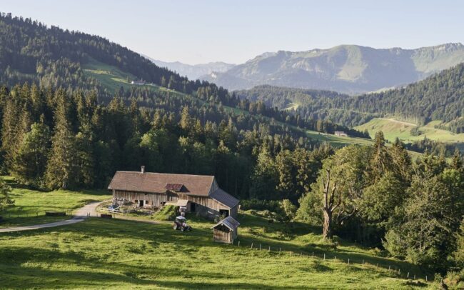Naturpark Nagelfluhkette und die Krone Hittisau