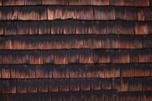 Hier könnte dein Name stehen.