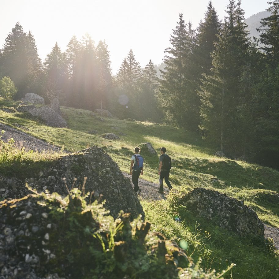 Wandern im Naturpark Nagelfluhkette Bregenzerwald