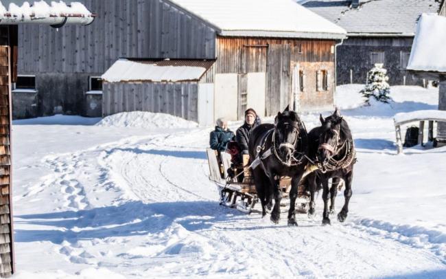 Pferdeschlittenfahrt