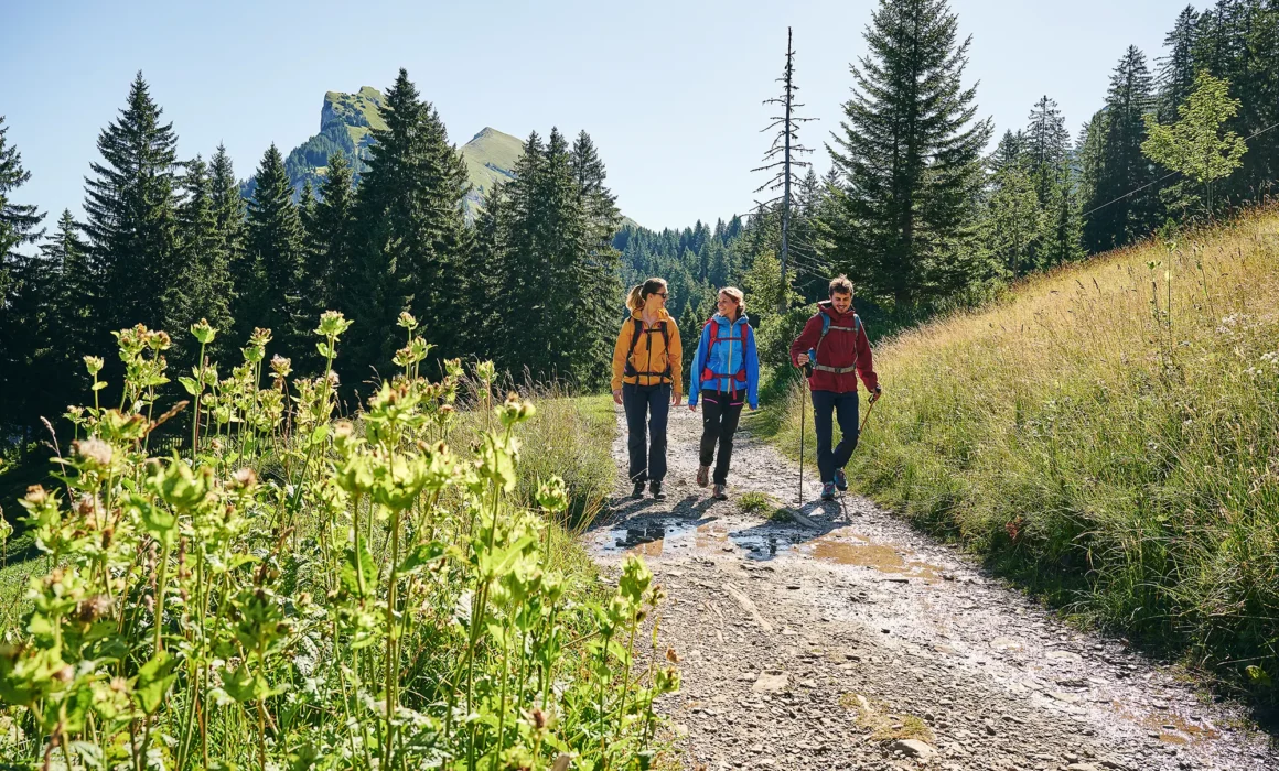 Wandern zwischen Bergstation Mellaubahn und Alpe Kanis