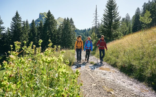 Wandern zwischen Bergstation Mellaubahn und Alpe Kanis