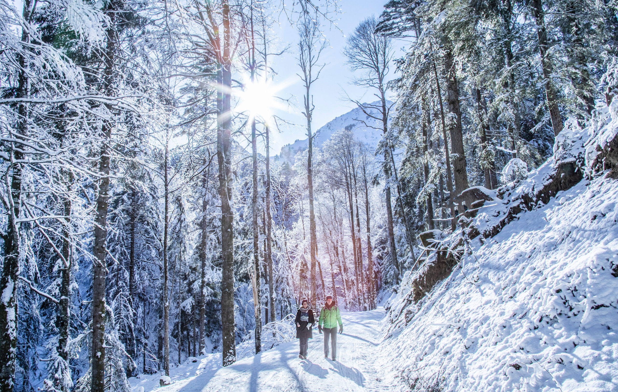 Winterwandern in Schetteregg in Egg (c) Emanuel Sutterlüty – Bregenzerwald Tourismus