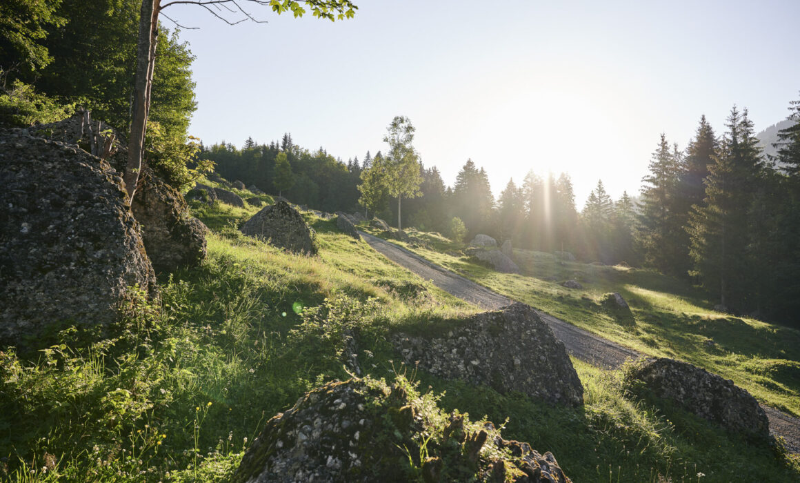 Naturpark Nagelfluhkette