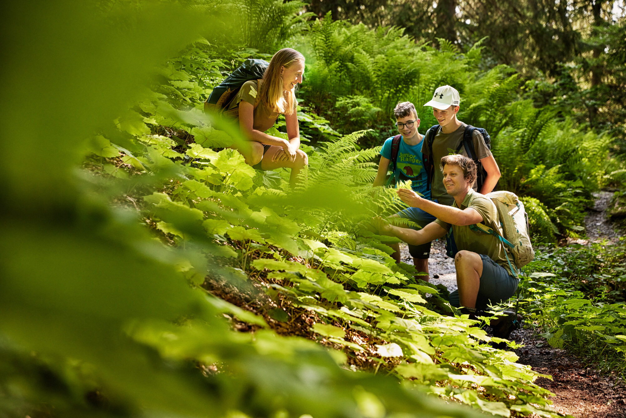 Reisemagazin Bregenzerwald Rangerführung - Wald kennenlernen